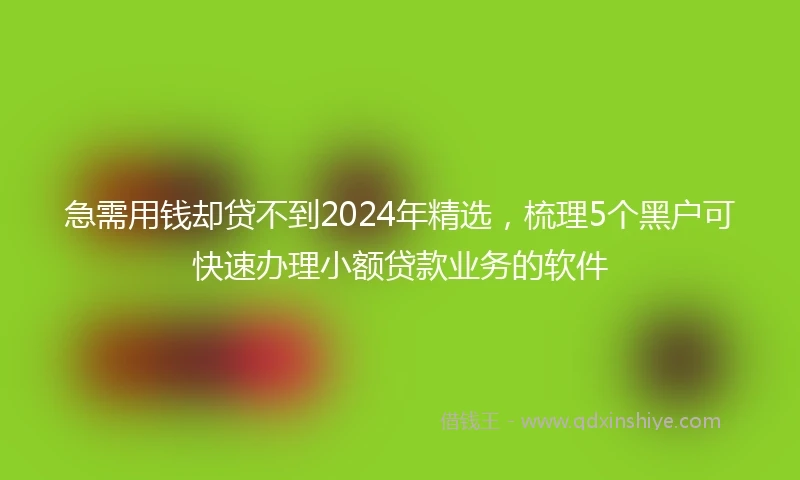 急需用钱却贷不到2024年精选，梳理5个黑户可快速办理小额贷款业务的软件