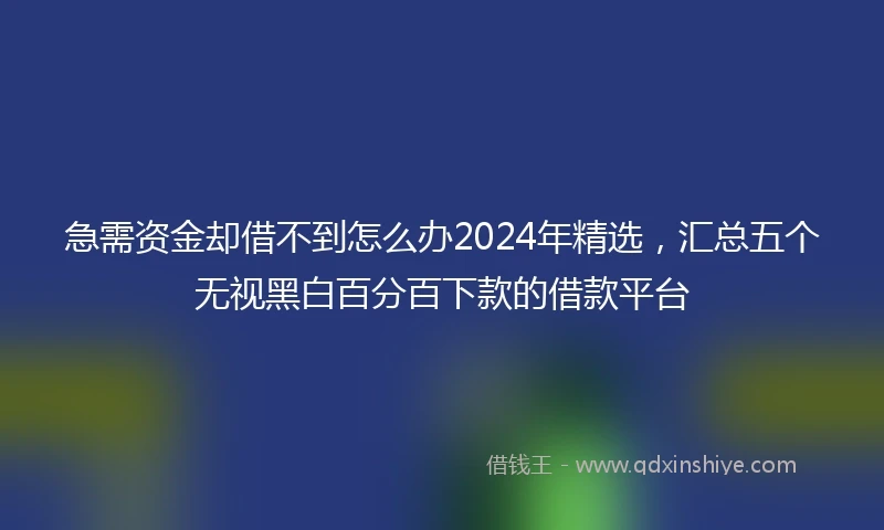 急需资金却借不到怎么办2024年精选，汇总五个无视黑白百分百下款的借款平台
