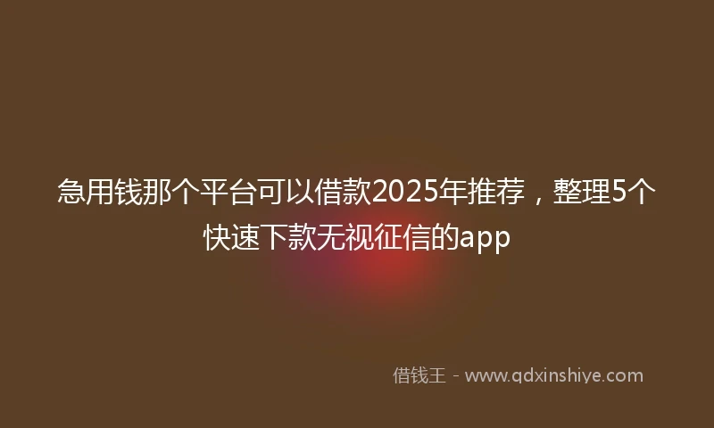 急用钱那个平台可以借款2025年推荐，整理5个快速下款无视征信的app
