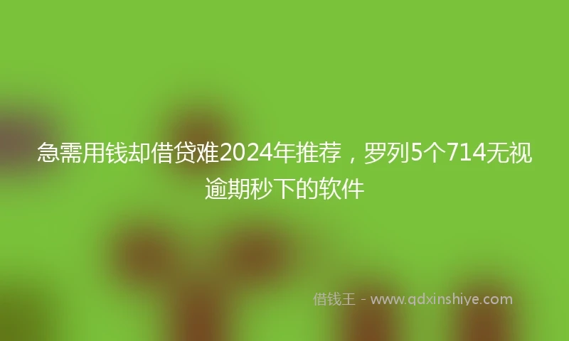 急需用钱却借贷难2024年推荐，罗列5个714无视逾期秒下的软件