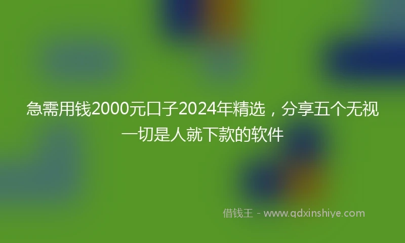 急需用钱2000元口子2024年精选，分享五个无视一切是人就下款的软件