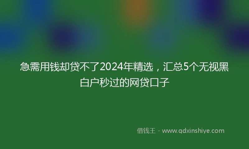急需用钱却贷不了2024年精选，汇总5个无视黑白户秒过的网贷口子