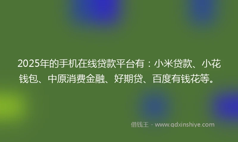 2025年的手机在线贷款平台有：小米贷款、小花钱包、中原消费金融、好期贷、百度有钱花等。