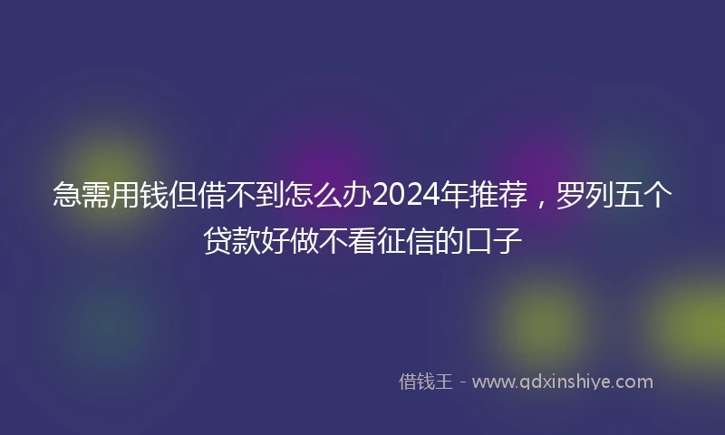 急需用钱但借不到怎么办2024年推荐，罗列五个贷款好做不看征信的口子