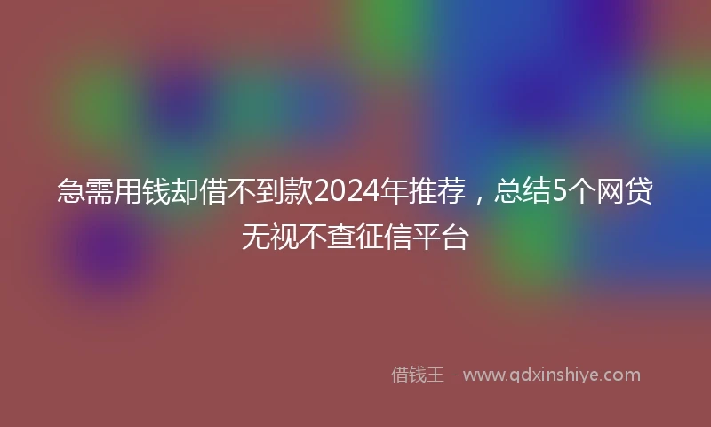 急需用钱却借不到款2024年推荐，总结5个网贷无视不查征信平台