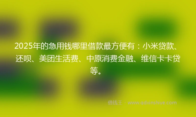 2025年的急用钱哪里借款最方便有：小米贷款、还呗、美团生活费、中原消费金融、维信卡卡贷等。