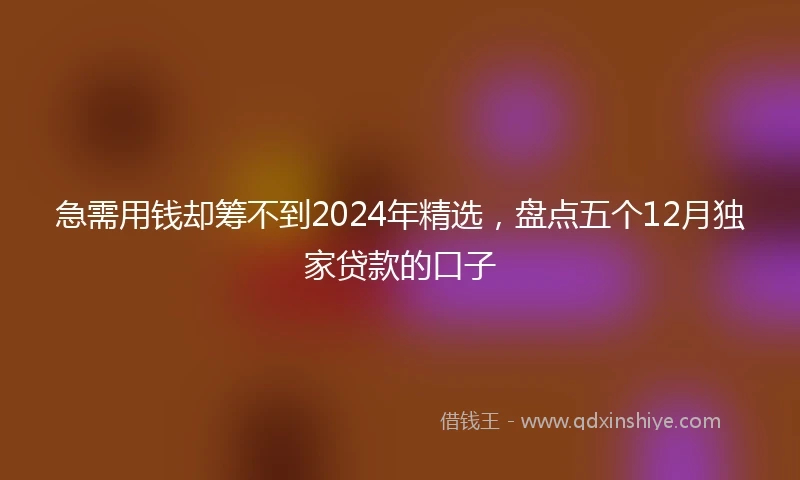 急需用钱却筹不到2024年精选，盘点五个12月独家贷款的口子