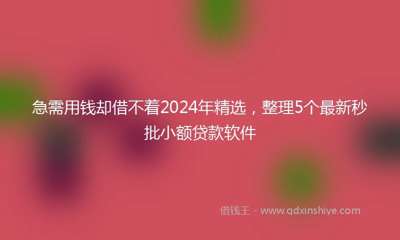 急需用钱却借不着2024年精选，整理5个最新秒批小额贷款软件
