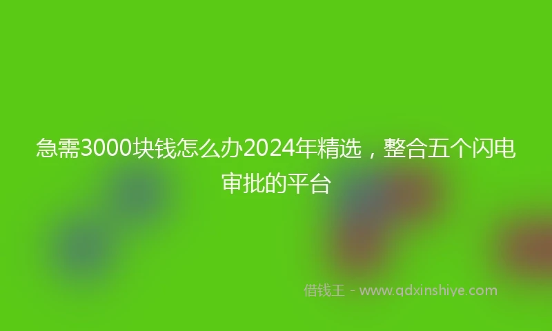急需3000块钱怎么办2024年精选，整合五个闪电审批的平台