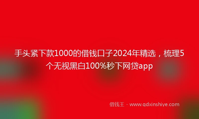 手头紧下款1000的借钱口子2024年精选，梳理5个无视黑白100%秒下网贷app