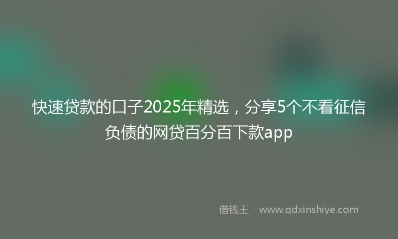 快速贷款的口子2025年精选，分享5个不看征信负债的网贷百分百下款app