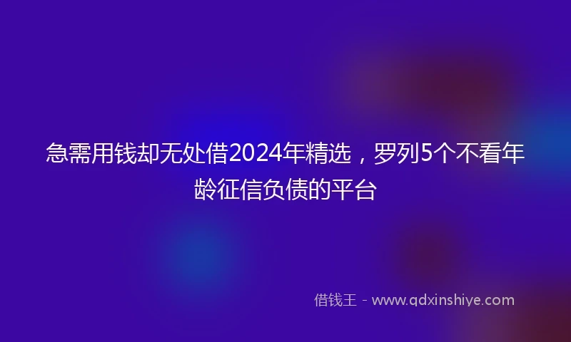 急需用钱却无处借2024年精选，罗列5个不看年龄征信负债的平台