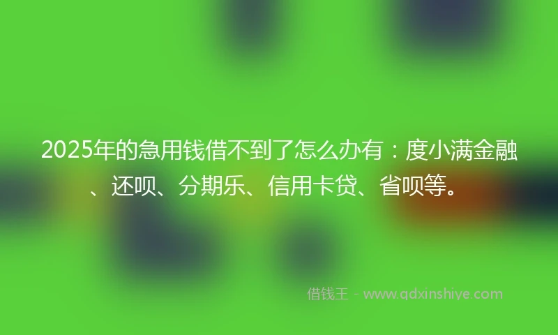 2025年的急用钱借不到了怎么办有：度小满金融、还呗、分期乐、信用卡贷、省呗等。