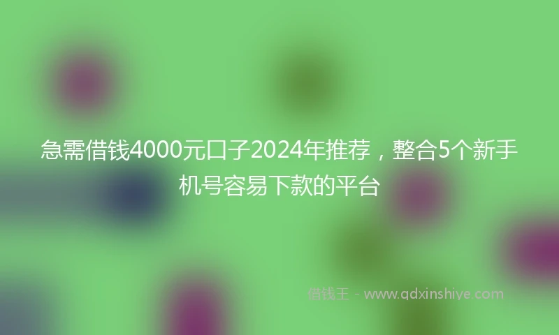 急需借钱4000元口子2024年推荐，整合5个新手机号容易下款的平台