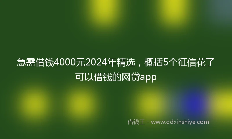 急需借钱4000元2024年精选，概括5个征信花了可以借钱的网贷app