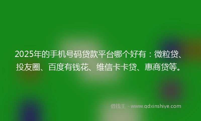 2025年的手机号码贷款平台哪个好有：微粒贷、投友圈、百度有钱花、维信卡卡贷、惠商贷等。
