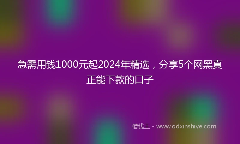 急需用钱1000元起2024年精选，分享5个网黑真正能下款的口子