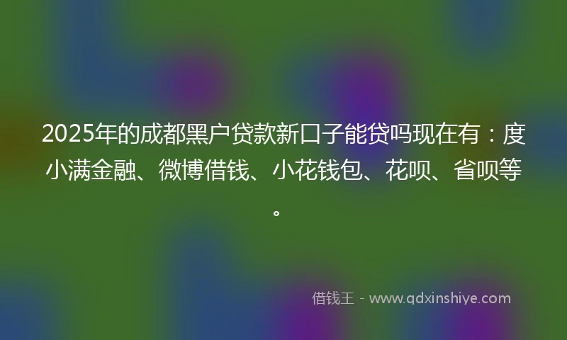 2025年的成都黑户贷款新口子能贷吗现在有：度小满金融、微博借钱、小花钱包、花呗、省呗等。