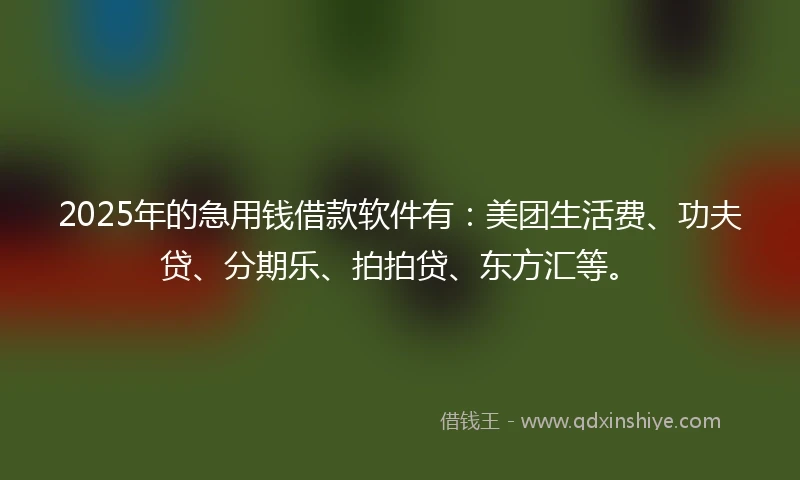 2025年的急用钱借款软件有：美团生活费、功夫贷、分期乐、拍拍贷、东方汇等。