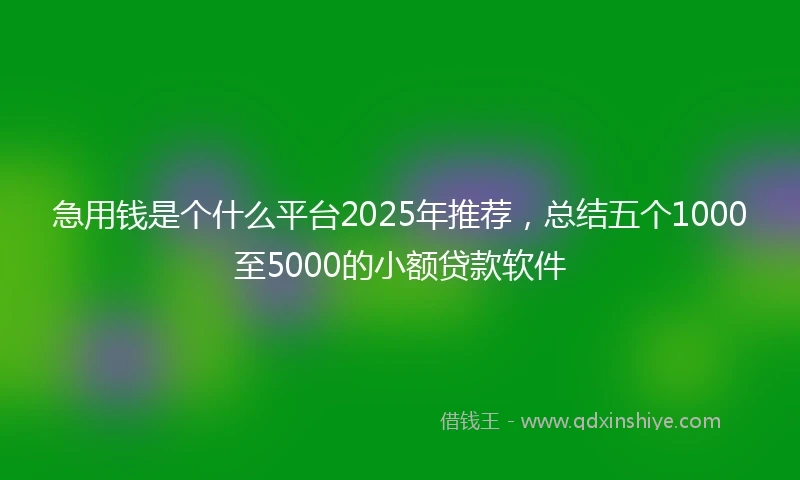 急用钱是个什么平台2025年推荐，总结五个1000至5000的小额贷款软件