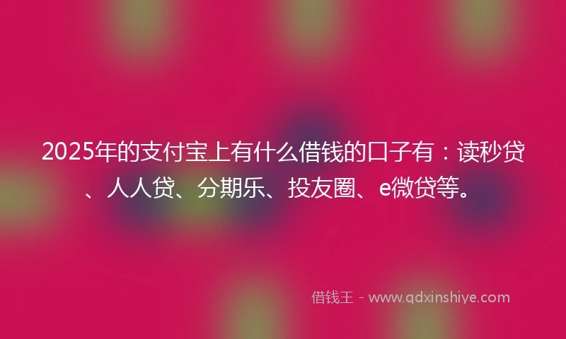 2025年的支付宝上有什么借钱的口子有：读秒贷、人人贷、分期乐、投友圈、e微贷等。