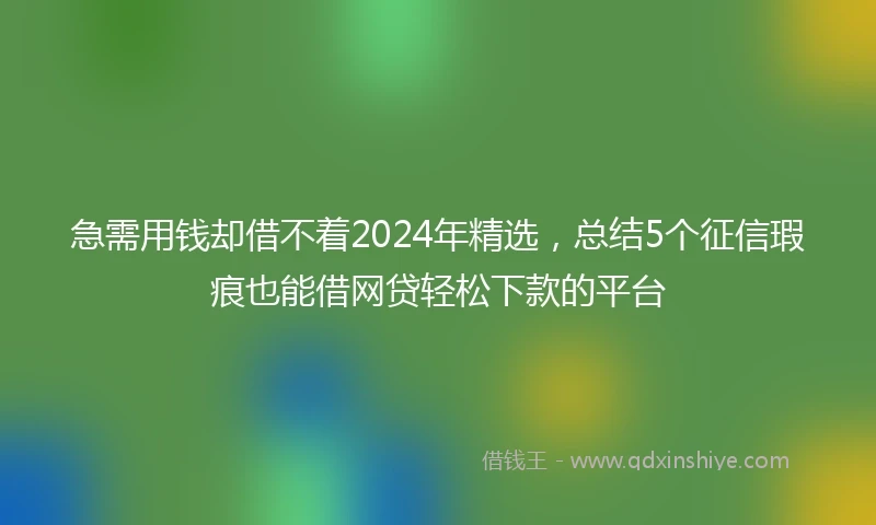 急需用钱却借不着2024年精选，总结5个征信瑕疵也能借网贷轻松下款的平台