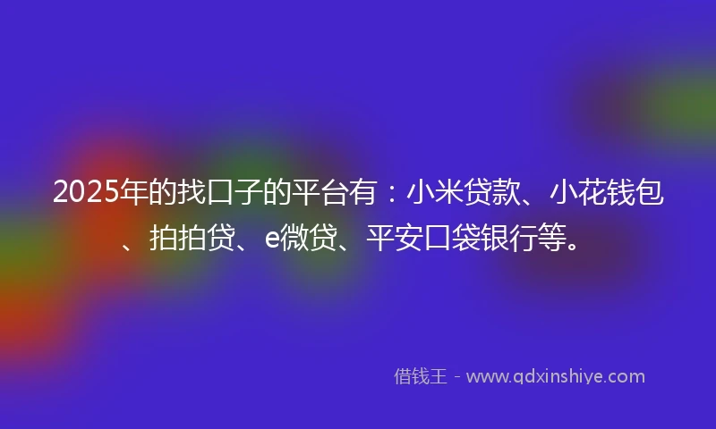 2025年的找口子的平台有：小米贷款、小花钱包、拍拍贷、e微贷、平安口袋银行等。