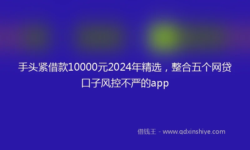 手头紧借款10000元2024年精选，整合五个网贷口子风控不严的app