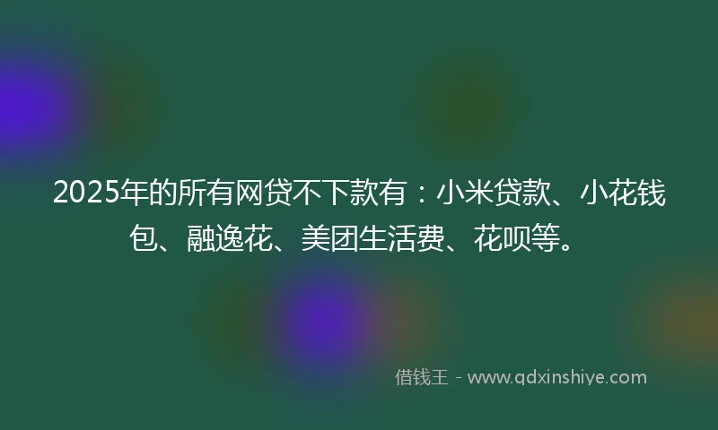 2025年的所有网贷不下款有：小米贷款、小花钱包、融逸花、美团生活费、花呗等。