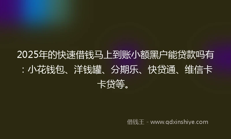 2025年的快速借钱马上到账小额黑户能贷款吗有：小花钱包、洋钱罐、分期乐、快贷通、维信卡卡贷等。
