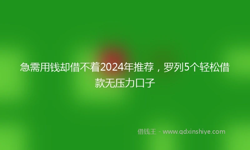 急需用钱却借不着2024年推荐，罗列5个轻松借款无压力口子