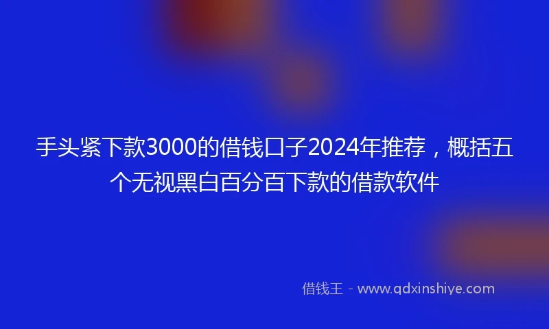 手头紧下款3000的借钱口子2024年推荐，概括五个无视黑白百分百下款的借款软件