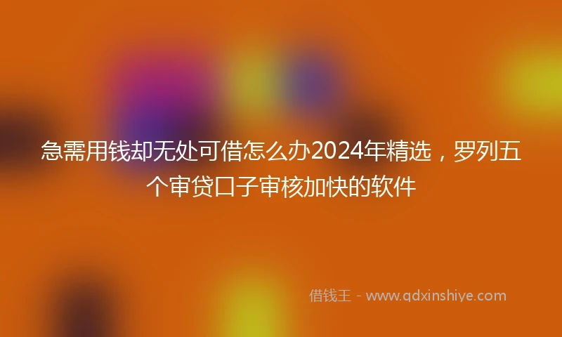 急需用钱却无处可借怎么办2024年精选，罗列五个审贷口子审核加快的软件
