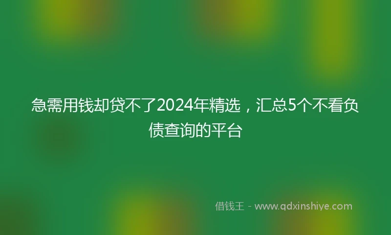 急需用钱却贷不了2024年精选，汇总5个不看负债查询的平台