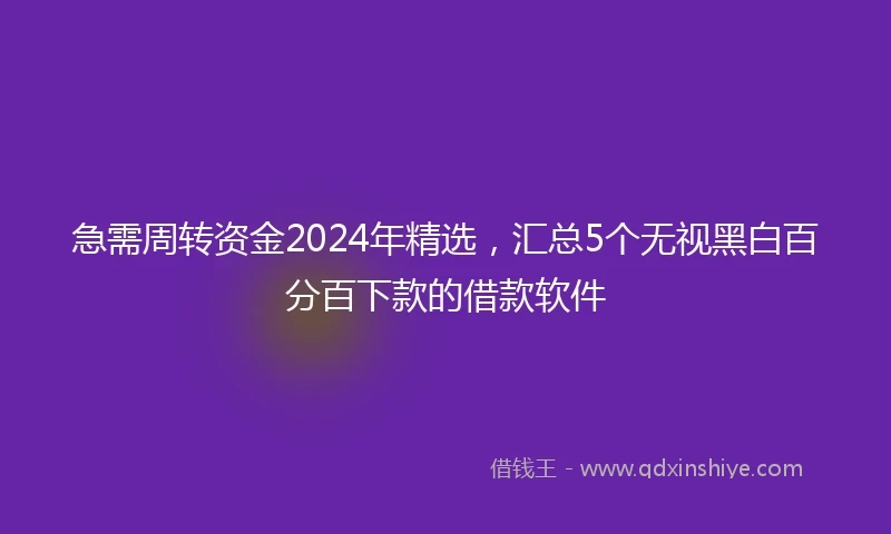 急需周转资金2024年精选，汇总5个无视黑白百分百下款的借款软件