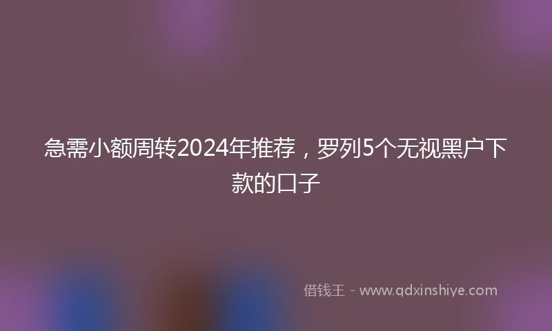 急需小额周转2024年推荐，罗列5个无视黑户下款的口子