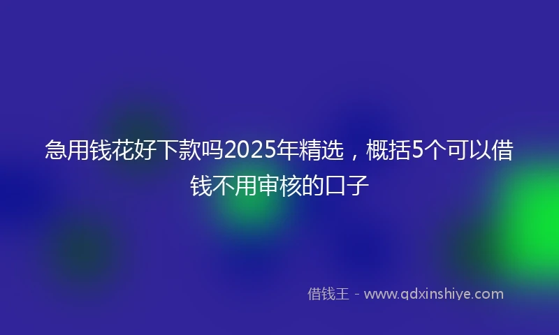 急用钱花好下款吗2025年精选，概括5个可以借钱不用审核的口子