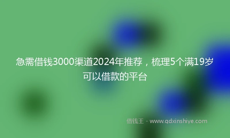急需借钱3000渠道2024年推荐,梳理5个满19岁可以借款的平台