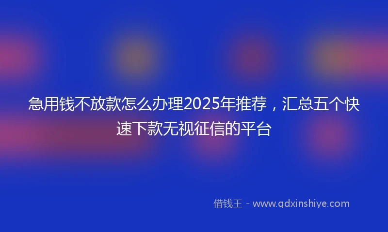 急用钱不放款怎么办理2025年推荐，汇总五个快速下款无视征信的平台