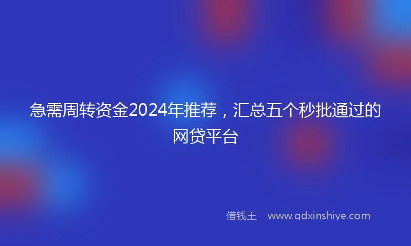急需周转资金2024年推荐，汇总五个秒批通过的网贷平台