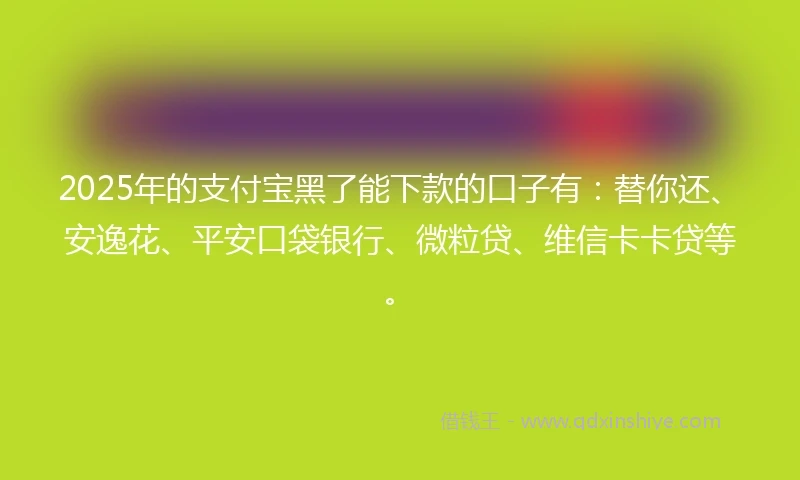 2025年的支付宝黑了能下款的口子有：替你还、安逸花、平安口袋银行、微粒贷、维信卡卡贷等。