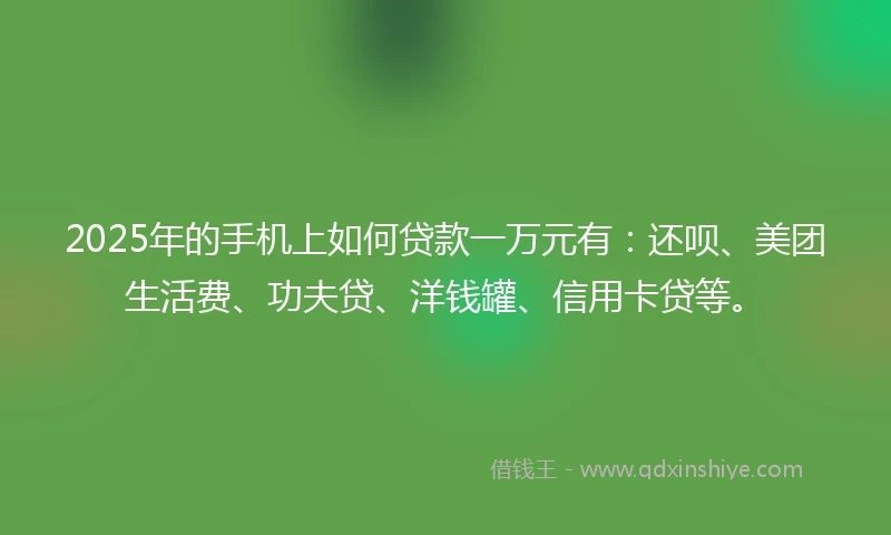 2025年的手机上如何贷款一万元有：还呗、美团生活费、功夫贷、洋钱罐、信用卡贷等。