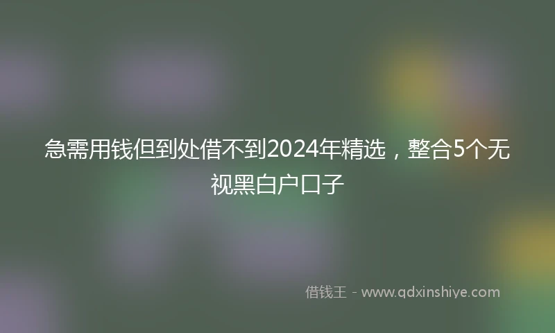 急需用钱但到处借不到2024年精选，整合5个无视黑白户口子