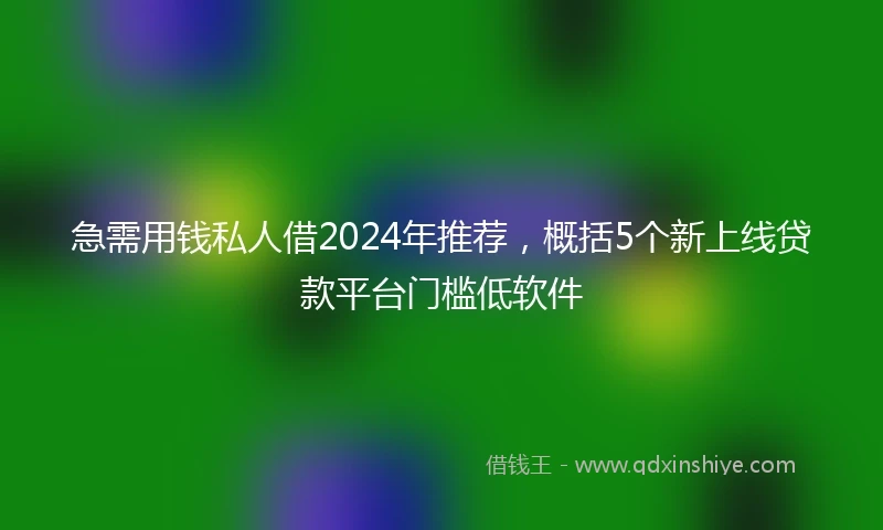 急需用钱私人借2024年推荐，概括5个新上线贷款平台门槛低软件
