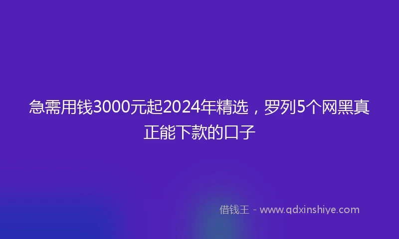 急需用钱3000元起2024年精选，罗列5个网黑真正能下款的口子