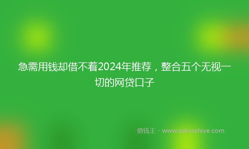 急需用钱却借不着2024年推荐，整合五个无视一切的网贷口子