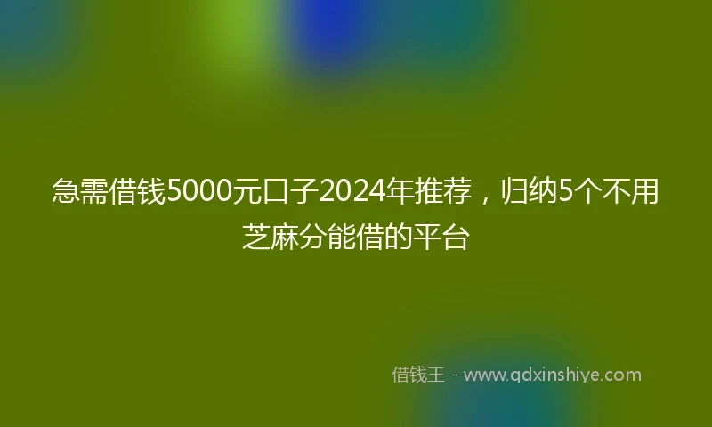 急需借钱5000元口子2024年推荐，归纳5个不用芝麻分能借的平台