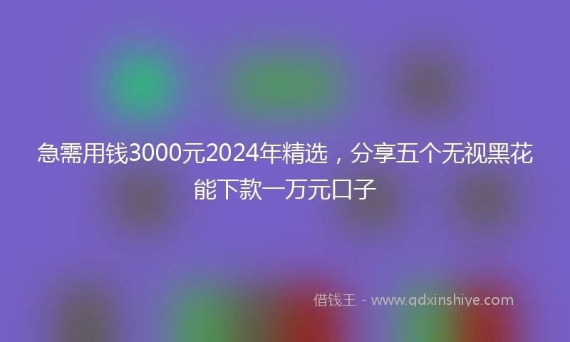 急需用钱3000元2024年精选，分享五个无视黑花能下款一万元口子