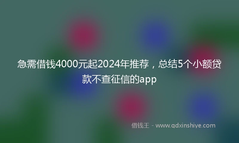 急需借钱4000元起2024年推荐，总结5个小额贷款不查征信的app