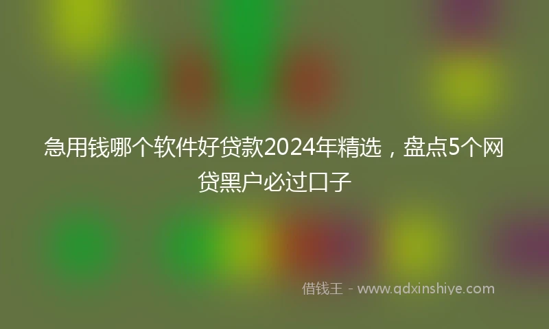 急用钱哪个软件好贷款2024年精选，盘点5个网贷黑户必过口子